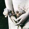  Swan Point Cemetery #1, Providence, RI, 1996