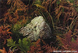 Blawith #2, Lake District, England, 1997