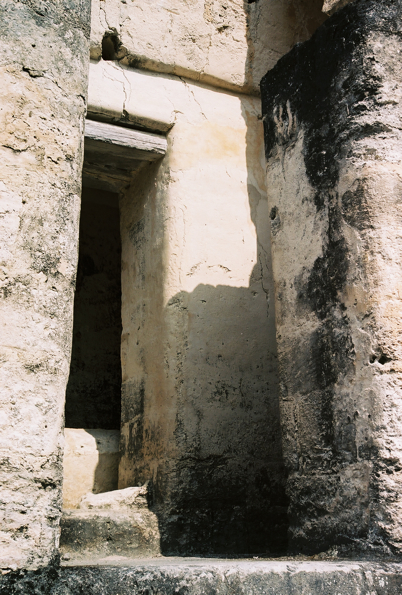 Tikal #5, El Petén, Guatemala