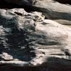 Alder Creek Beach #3, Manchester, CA, 2008