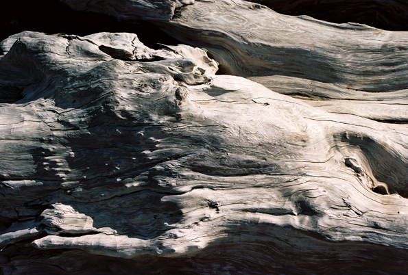 Alder Creek Beach #3, Manchester, CA, 2008