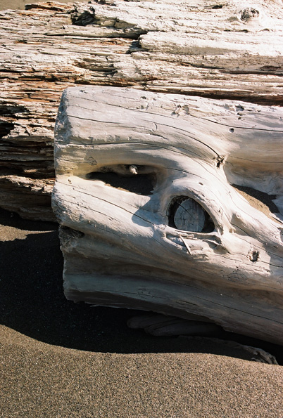 Alder Creek Beach #2, Manchester, CA, 2008