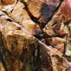 Kings Canyon National Park #2, CA, 2008