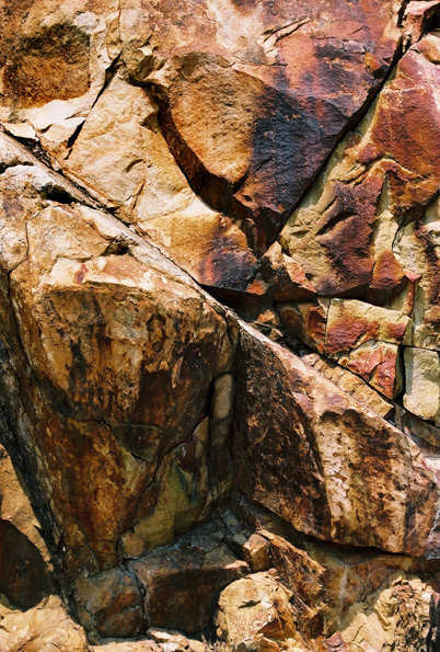 Kings Canyon National Park #2, CA, 2008