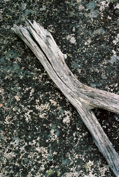 Zumwalt Meadows Trail #1, Kings Canyon National Park, CA, 2008