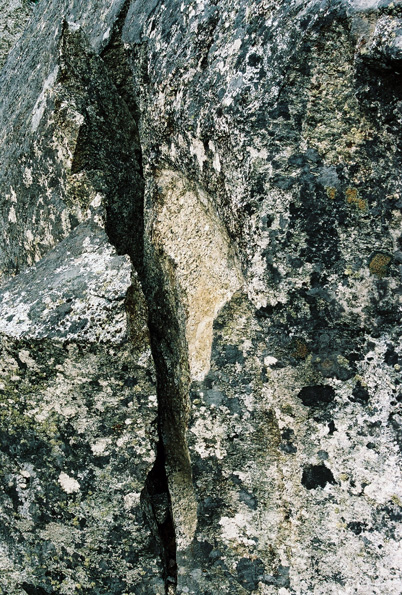Zumwalt Meadows Trail #4, Kings Canyon National Park, CA, 2008
