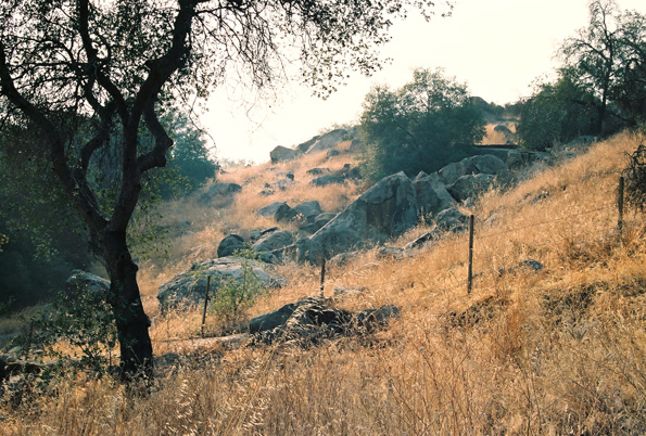 Outside Fresno, CA, 2008