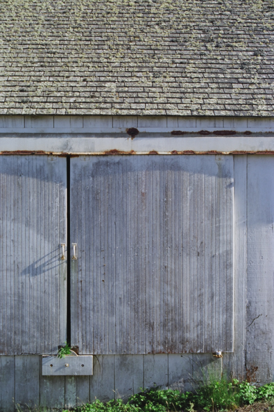 Pierce Point Ranch #4, Inverness, CA, 2014