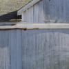 Pierce Point Ranch #5, Inverness, CA, 2014