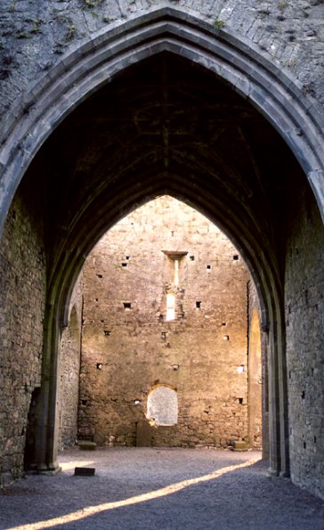 Hore Abbey #3, Near Cashel, County Tipperary, Republic of Ireland, 2004