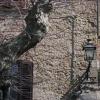 Volterra #16, Italy