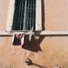 Rome #6, Italy