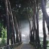 Via Appia Antica #4, Rome, Italy