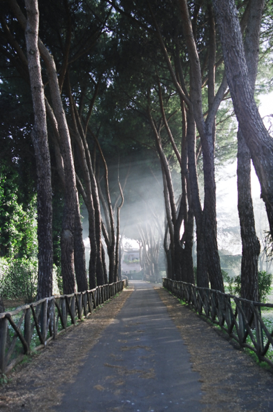 Via Appia Antica #4, Rome, Italy