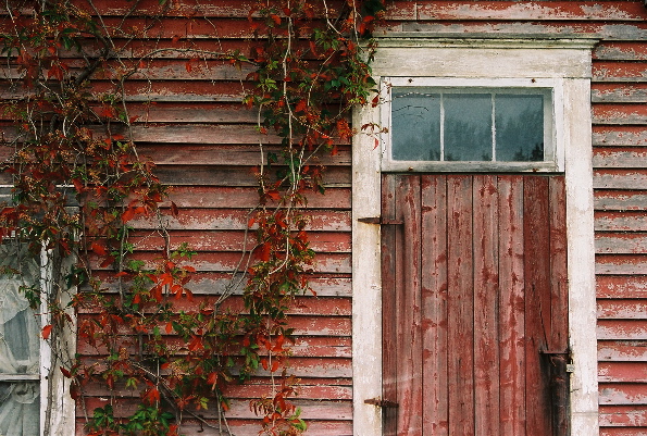 Naskeag #1, ME 2007